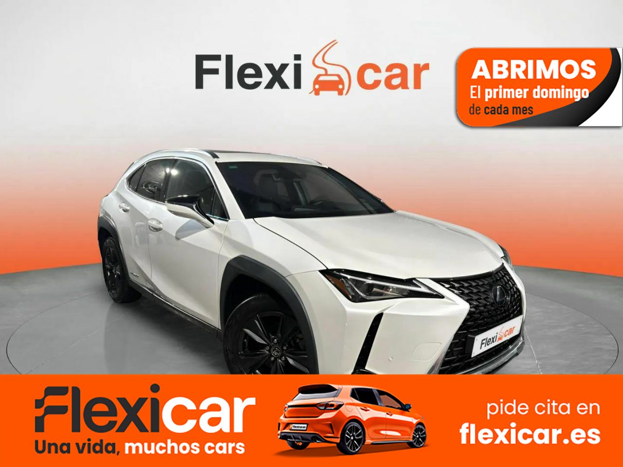 Foto Lexus UX 1