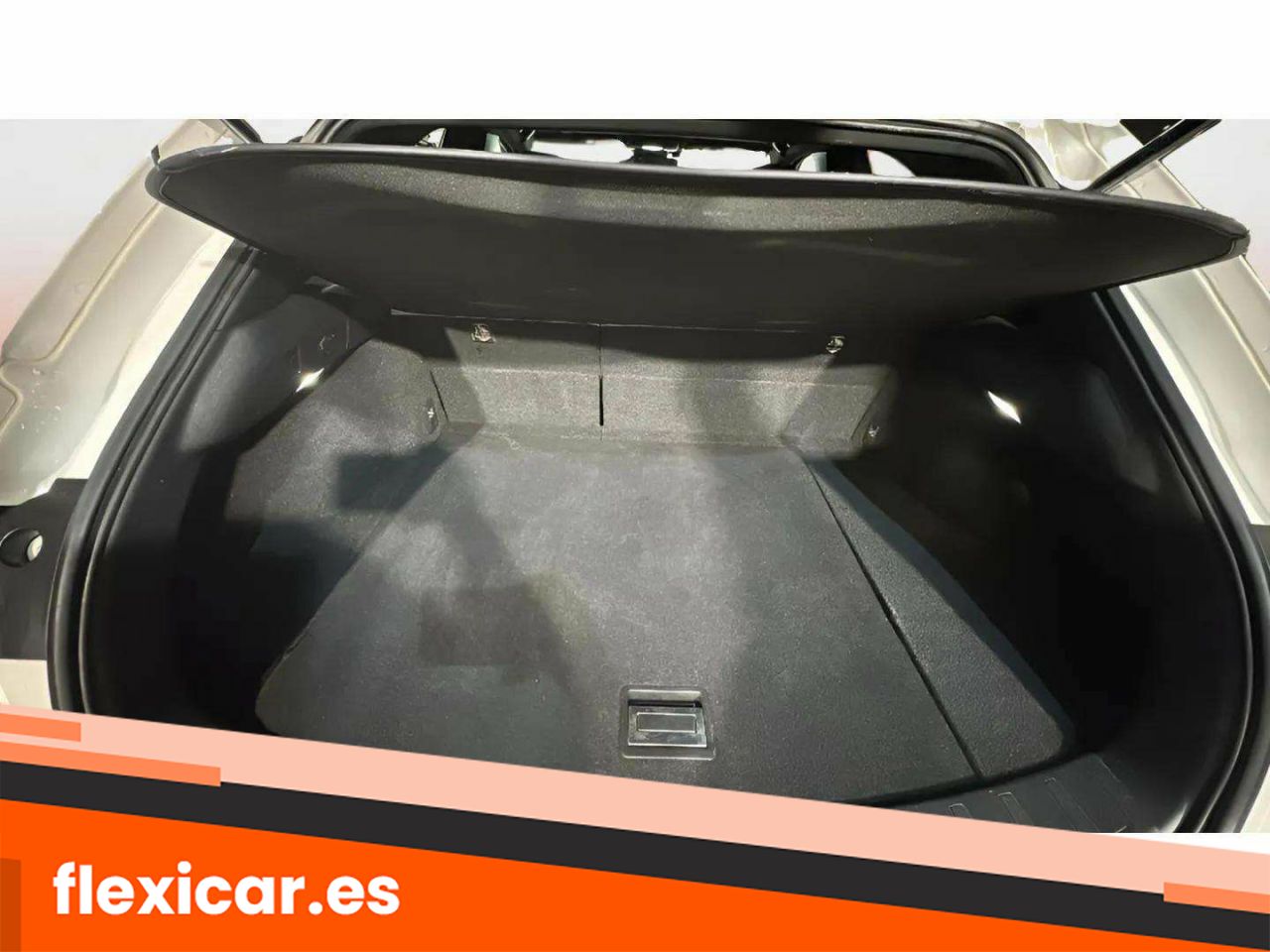 Foto Lexus UX 14