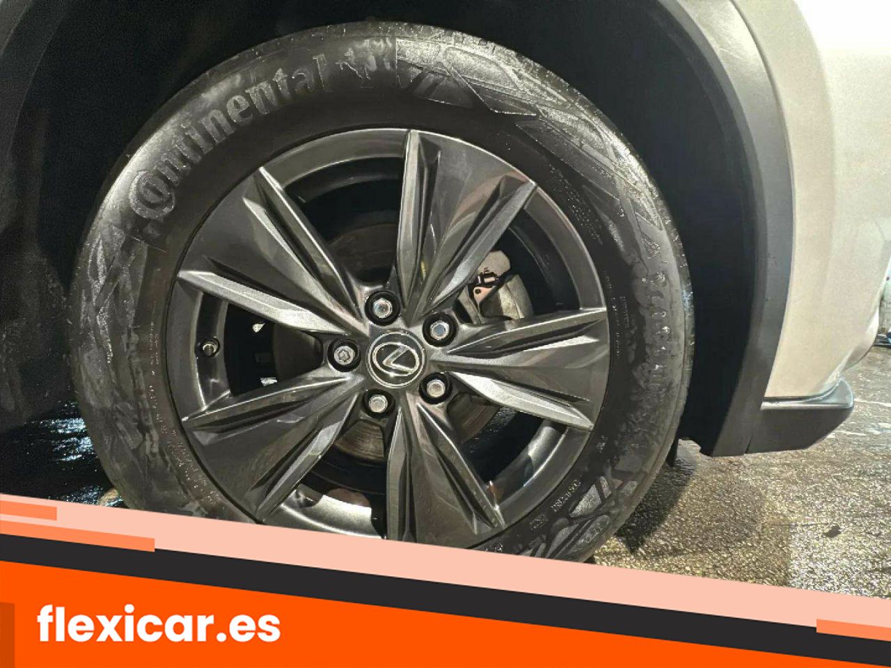 Foto Lexus UX 19
