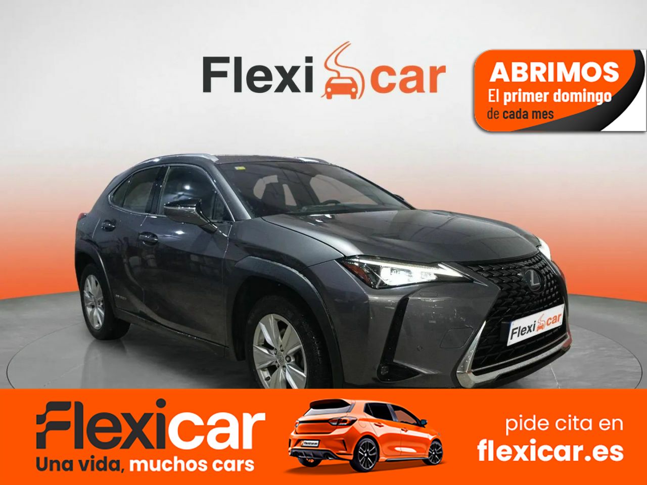 Foto Lexus UX 1