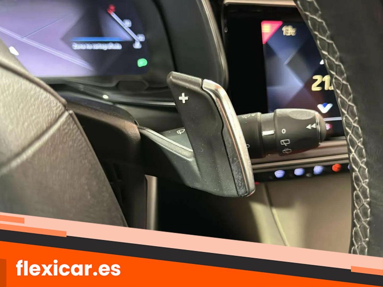 Foto DS Automobiles DS 7 13