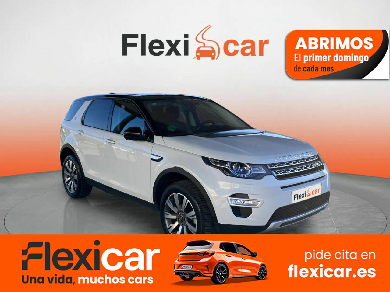 Foto Land-Rover Discovery Sport 1