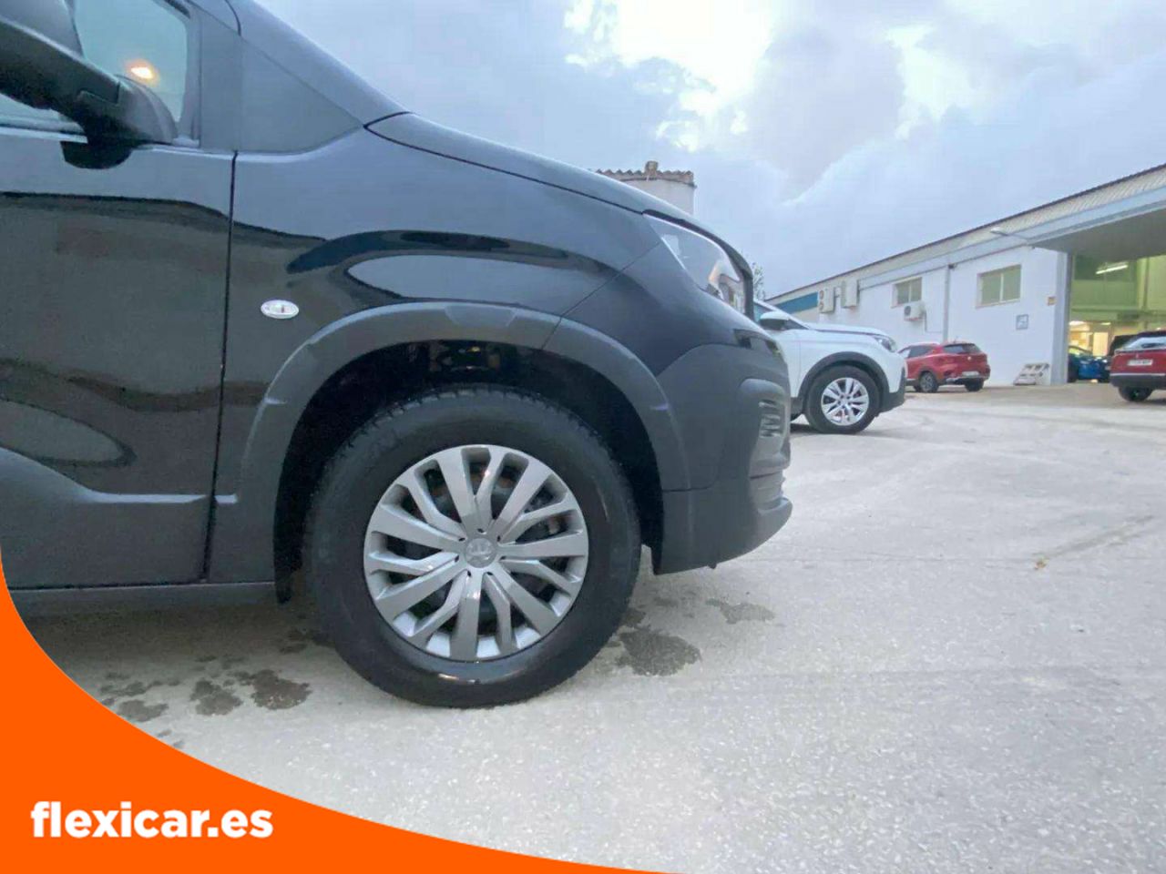Foto Peugeot Rifter 18