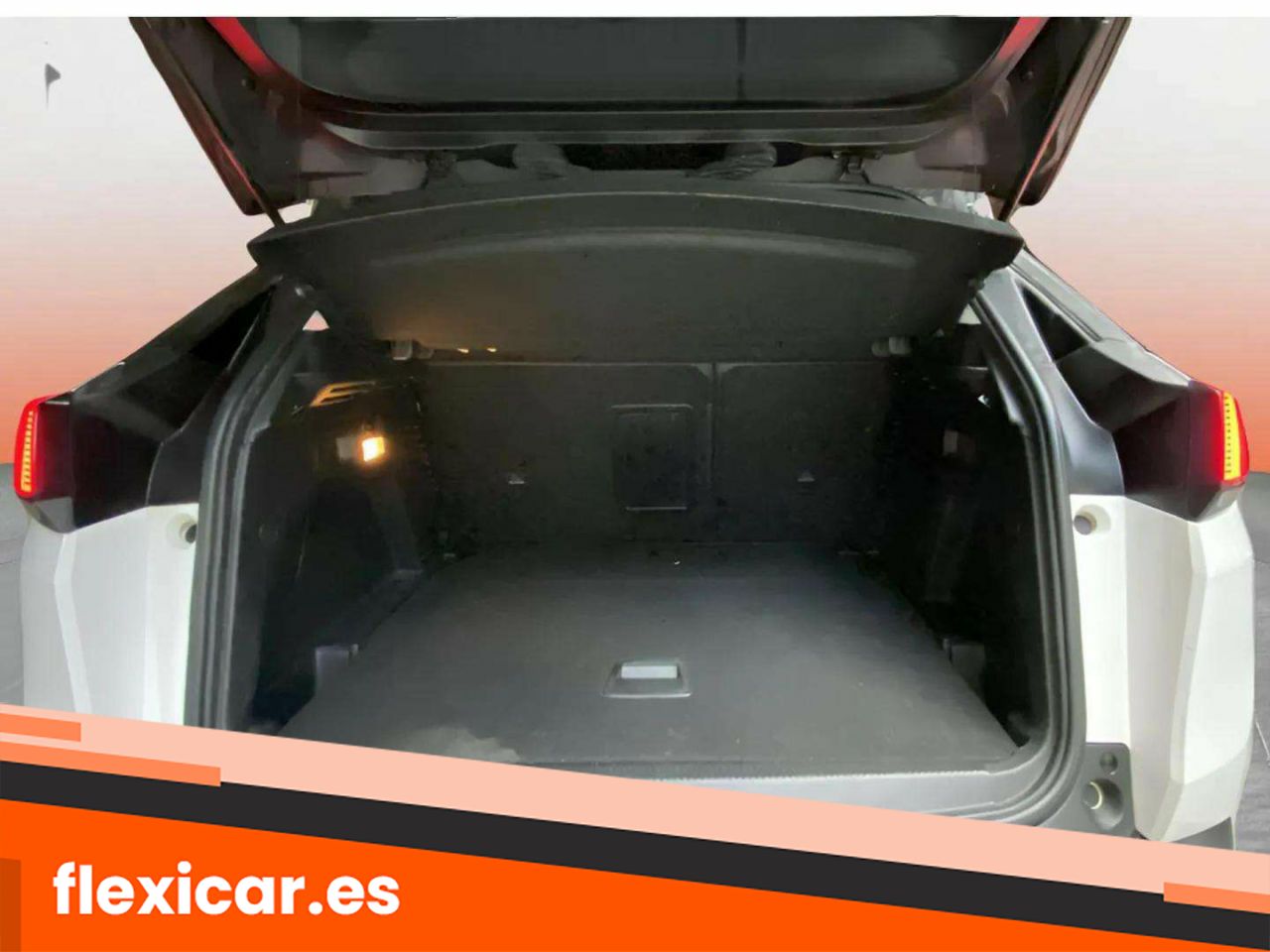 Foto Peugeot 3008 28