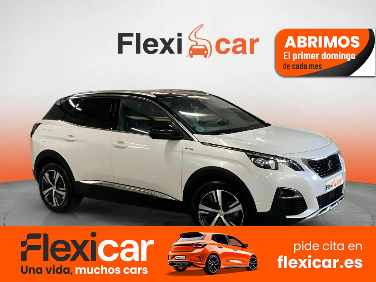 Foto Peugeot 3008 1