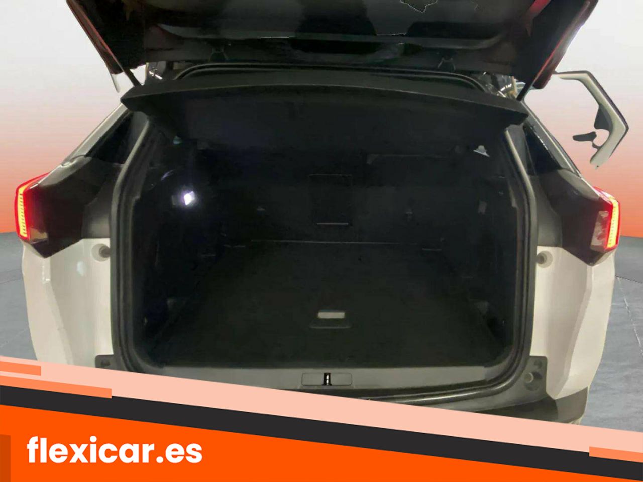 Foto Peugeot 3008 17