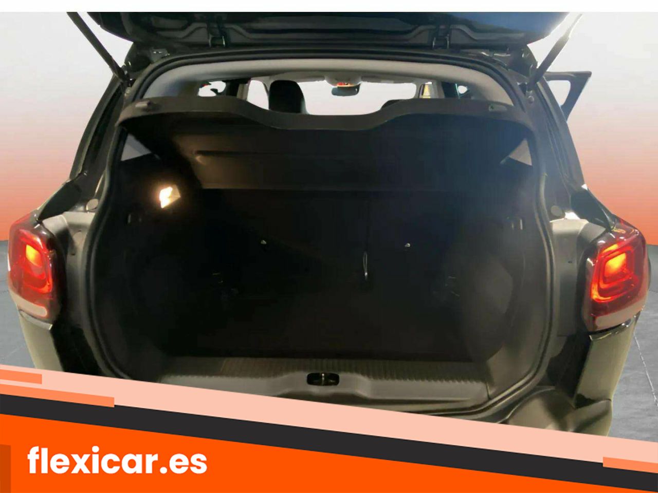 Foto Citroën C3 Aircross 13