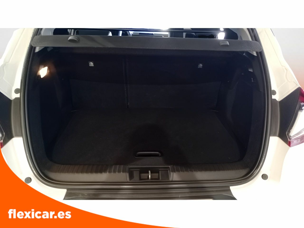 Foto Renault Captur 5