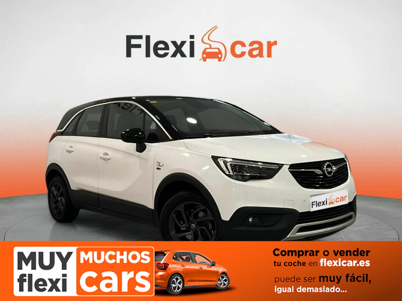 Foto Opel CrossLand 1
