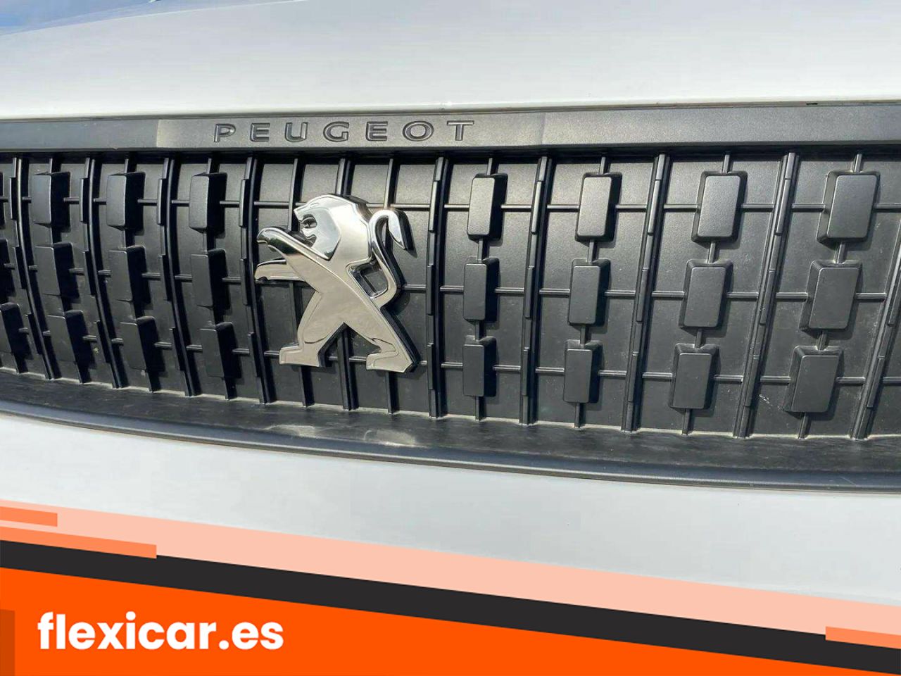 Foto Peugeot Expert 18