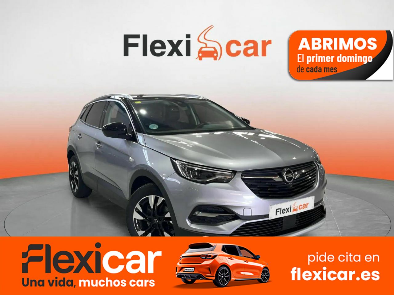 Foto Opel Grandland X 1