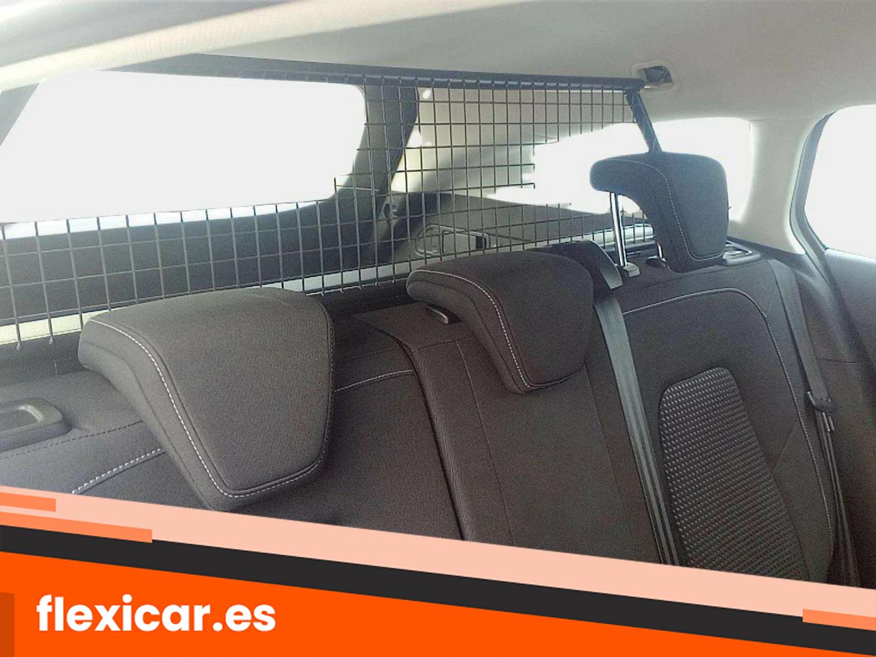 Foto Ford Focus 10