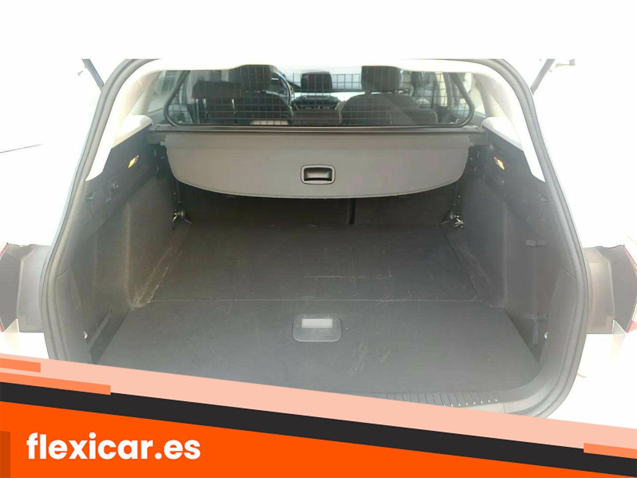 Foto Ford Focus 12