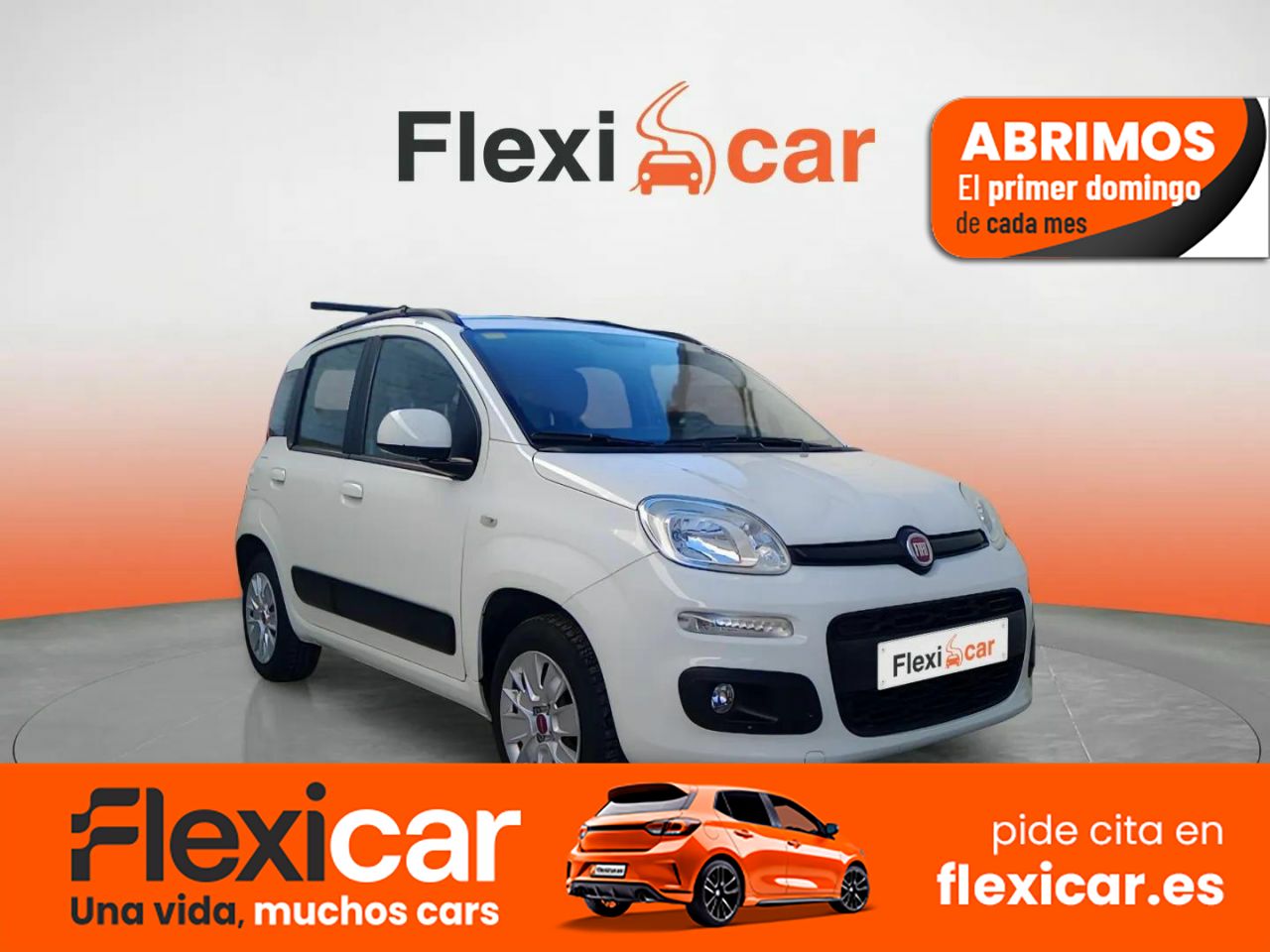 Foto Fiat Panda 1