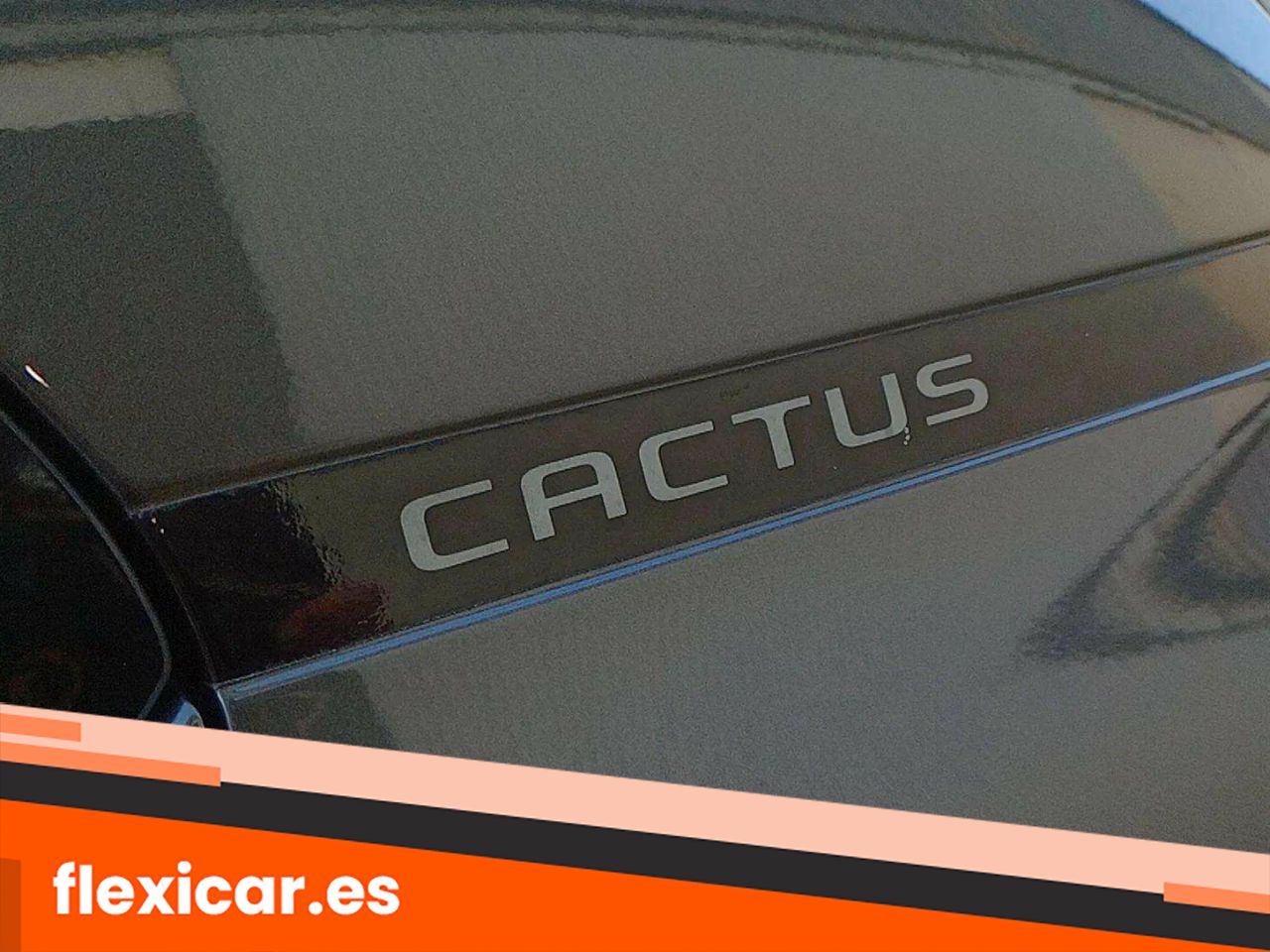 Foto Citroën C4 Cactus 15