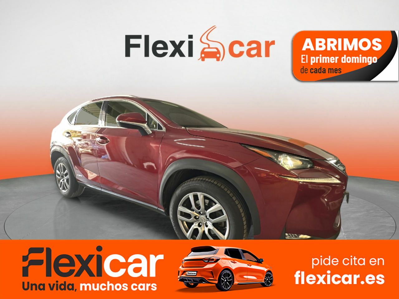 Foto Lexus NX 1
