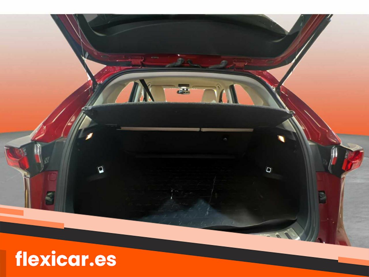 Foto Lexus NX 16