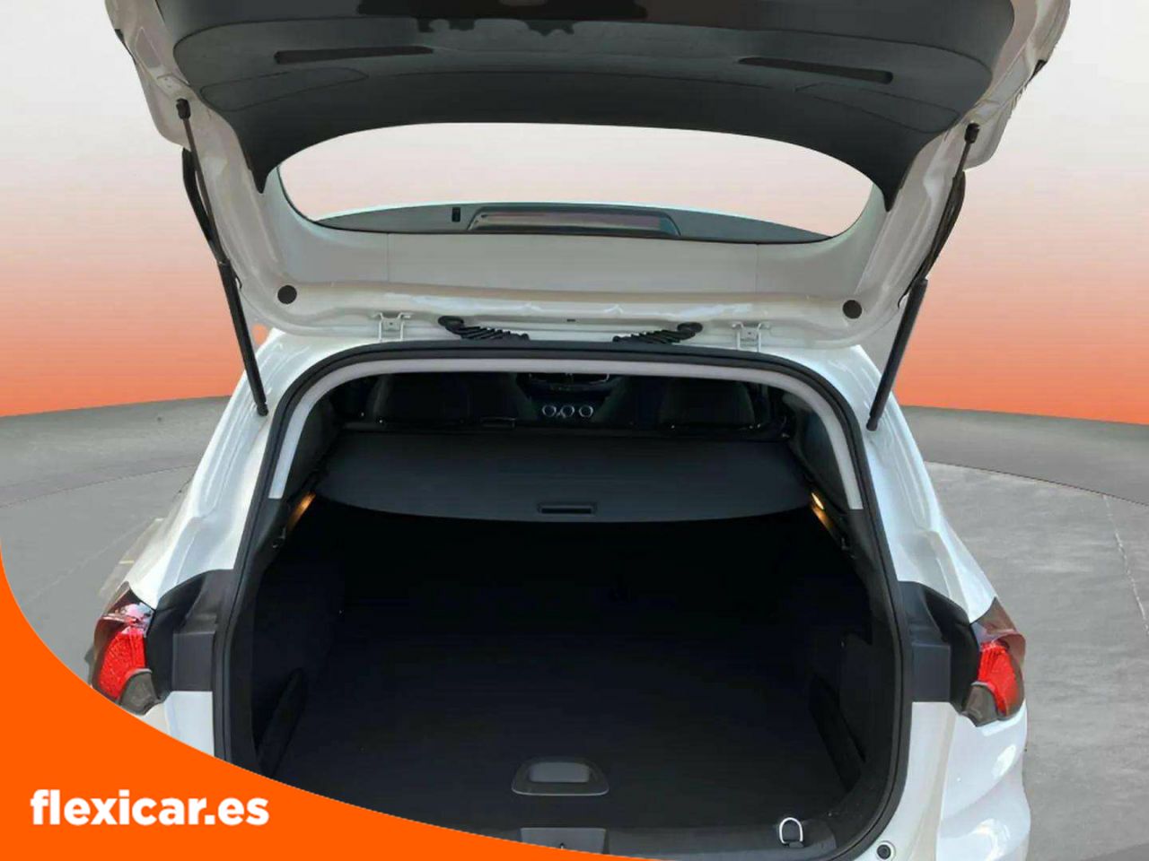 Foto Fiat Tipo 17
