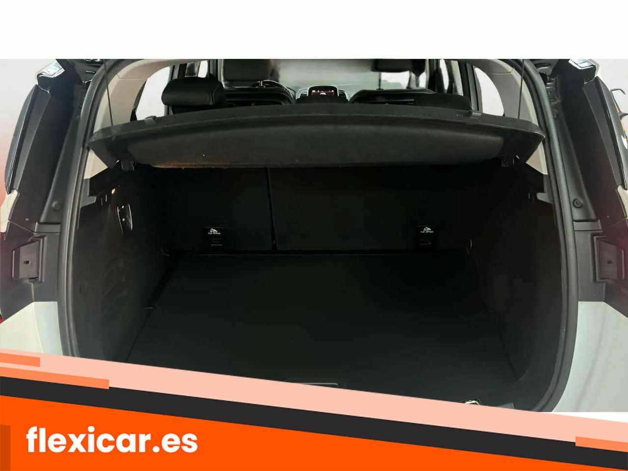 Foto Renault Scénic 11