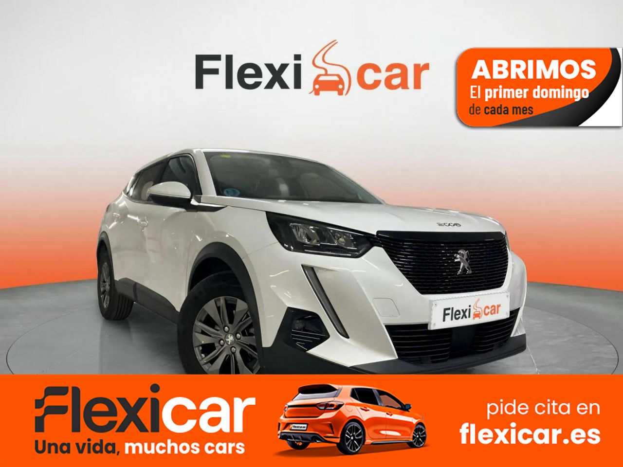 Foto Peugeot 2008 1