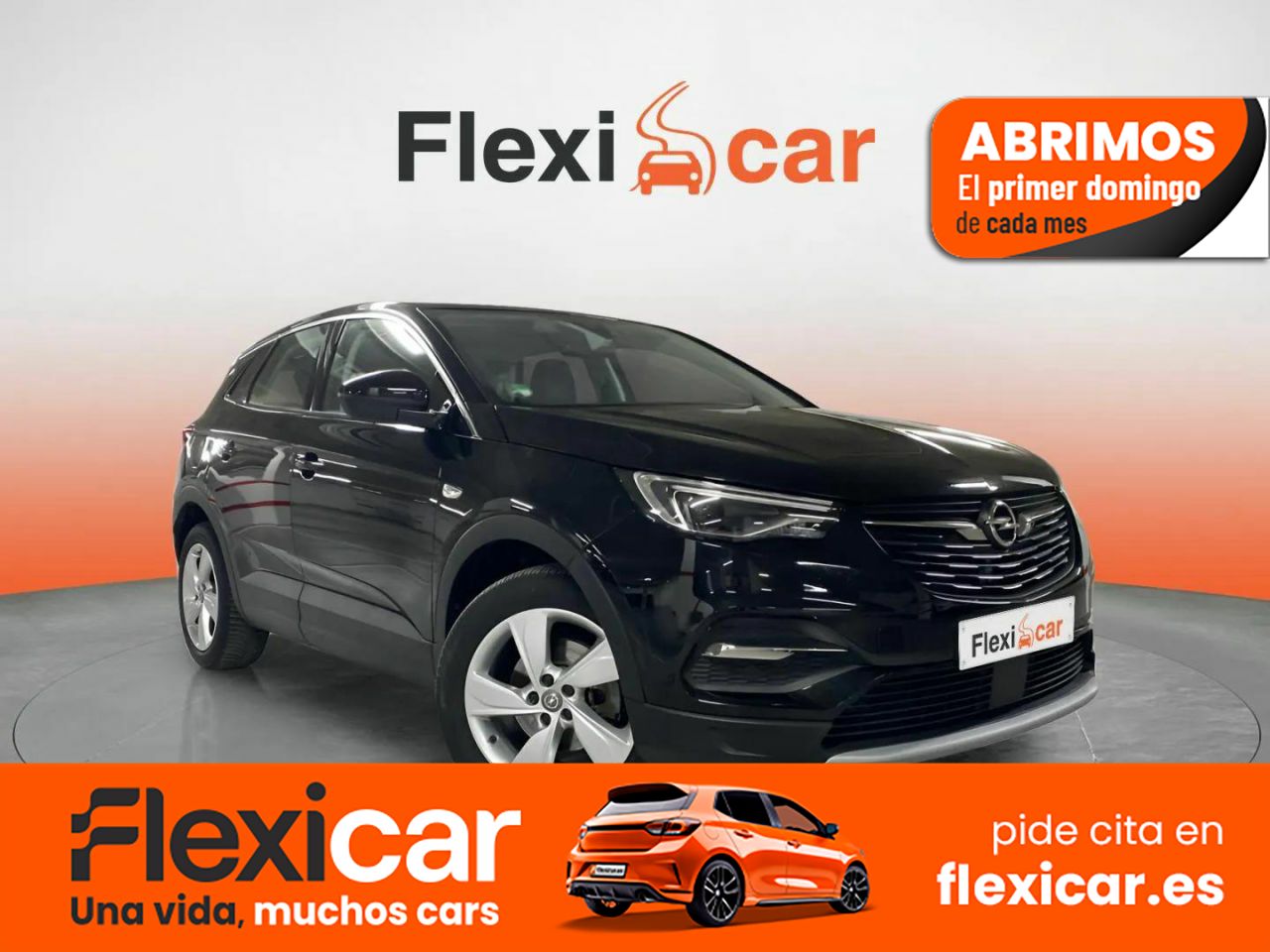Foto Opel Grandland X 1