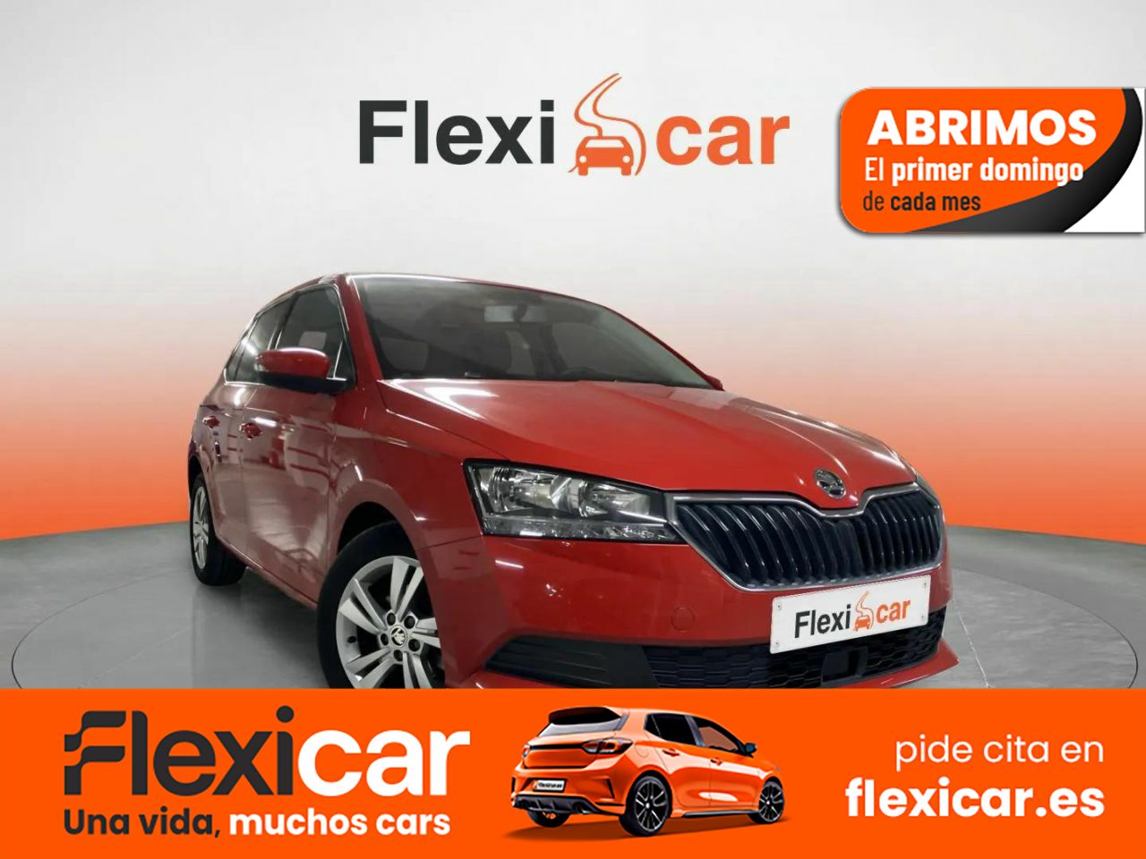 Foto Skoda Fabia 1