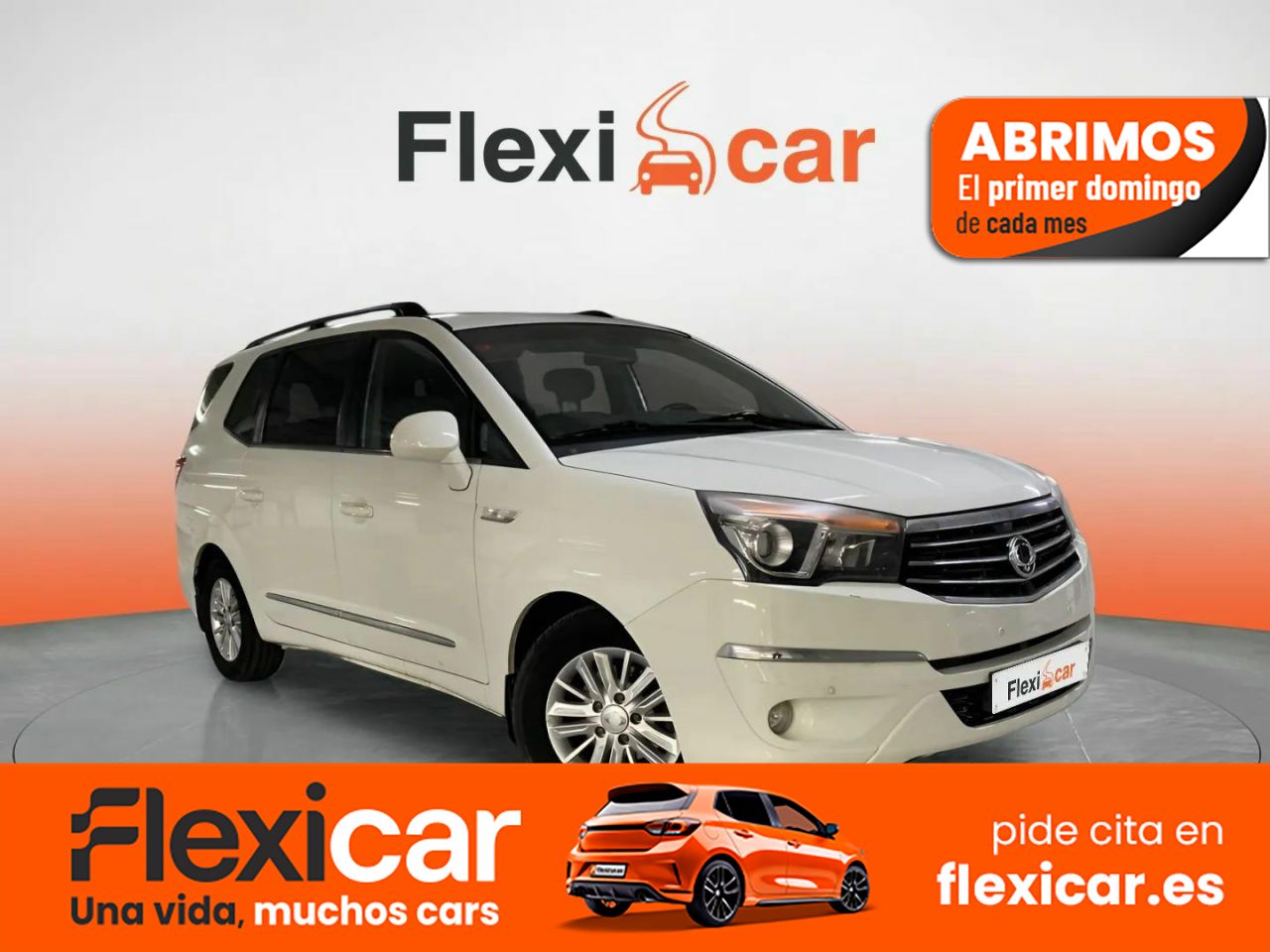 Foto SsangYong Rodius 1