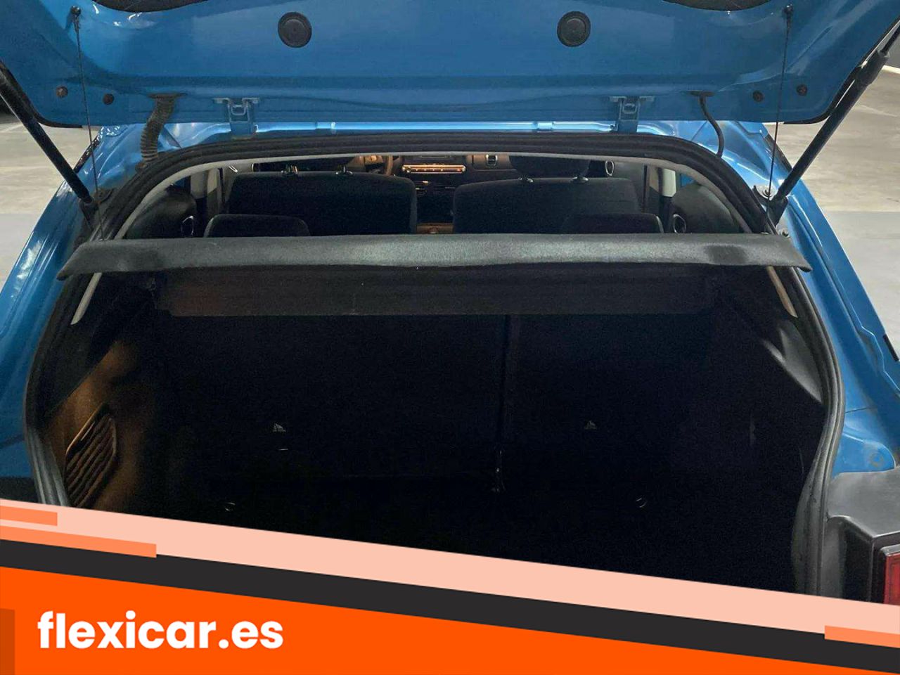 Foto Citroën C4 Cactus 24