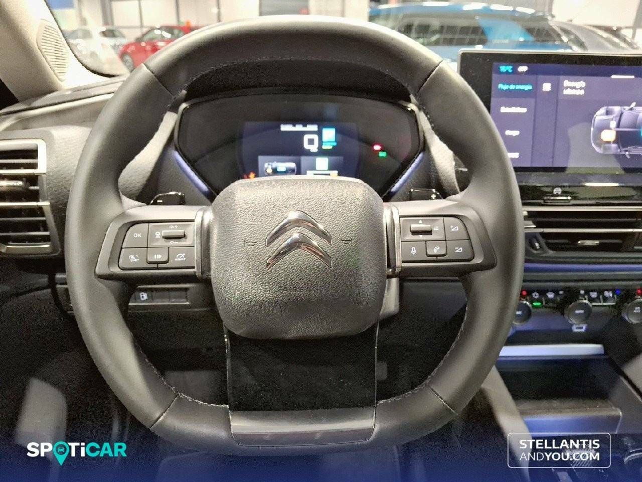 Foto Citroën C5 X 13