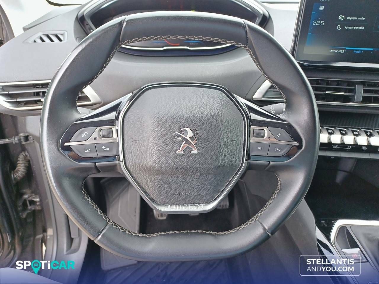 Foto Peugeot 3008 12
