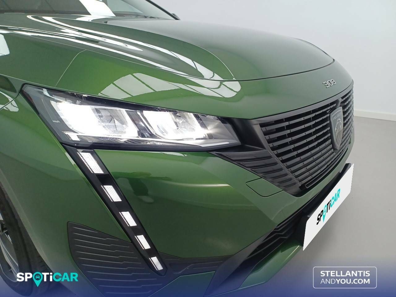 Foto Peugeot 308 24