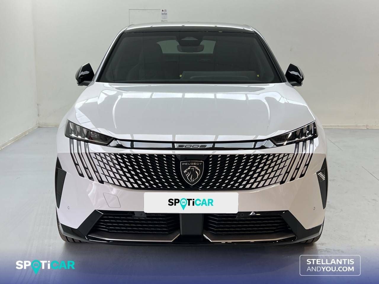 Foto Peugeot 3008 2