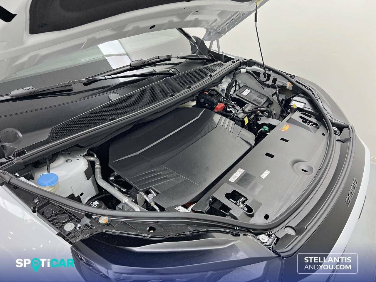 Foto Peugeot 3008 22