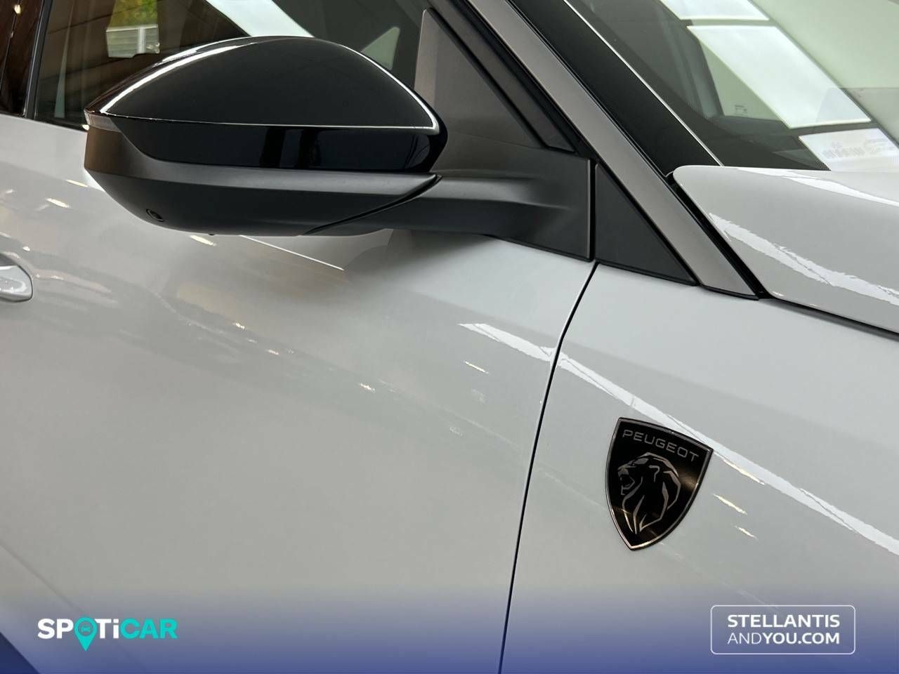 Foto Peugeot 3008 25