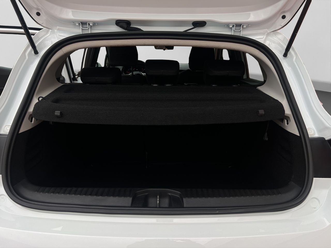 Foto Renault Clio 19