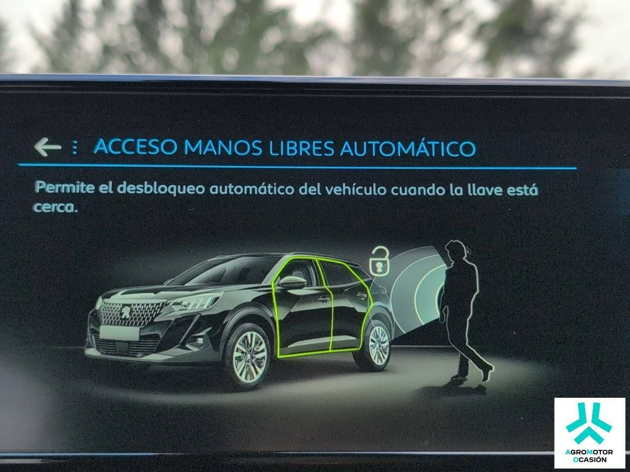Foto Peugeot 2008 30