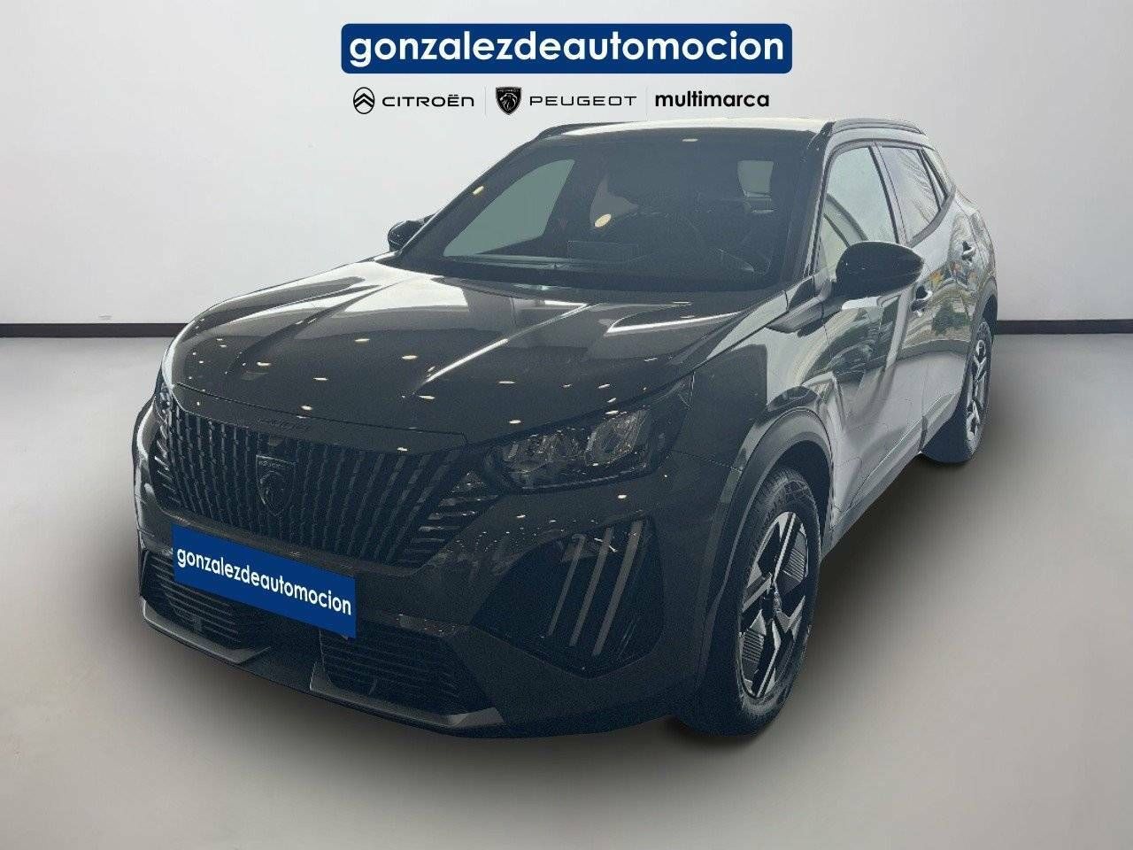 Foto Peugeot 2008 1