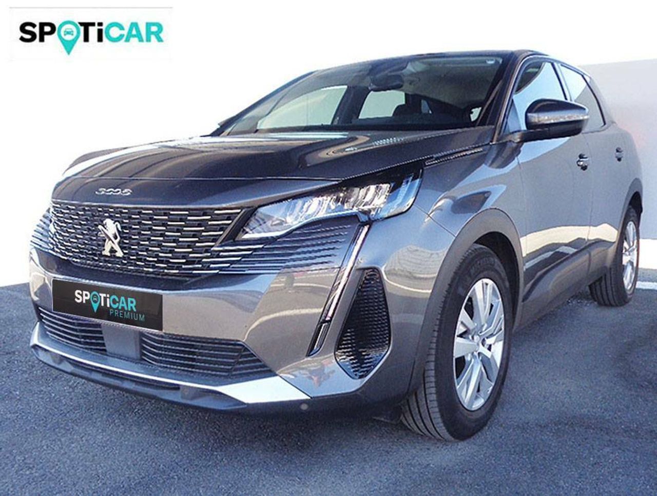 Foto Peugeot 3008 1