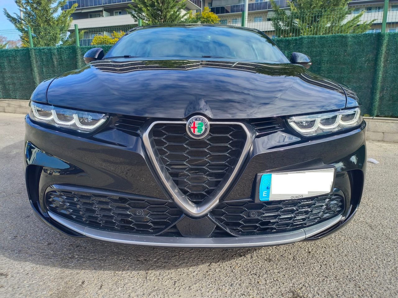 Foto Alfa Romeo Tonale 14