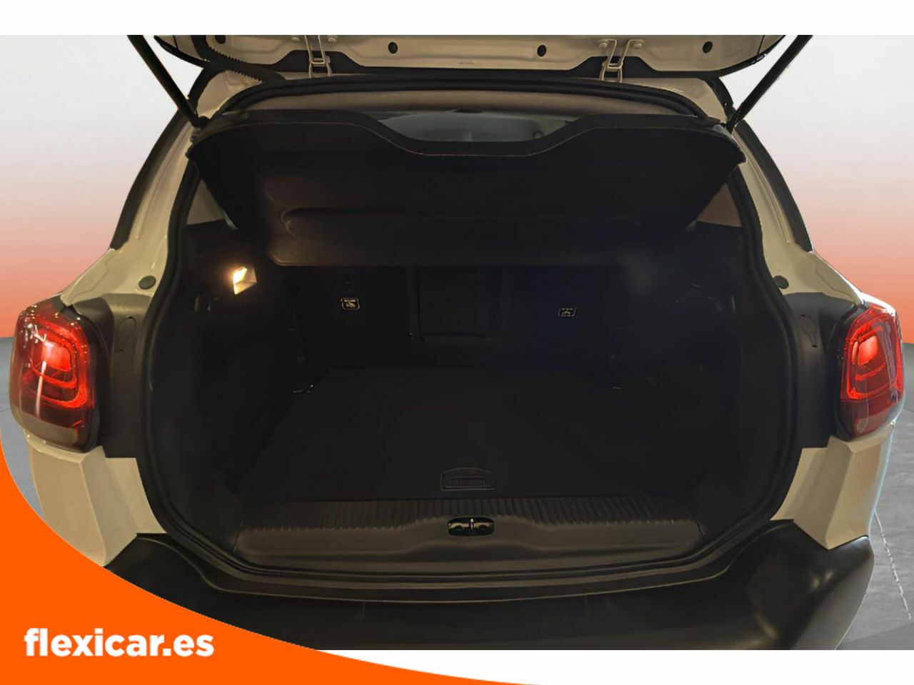 Foto Citroën C3 Aircross 18