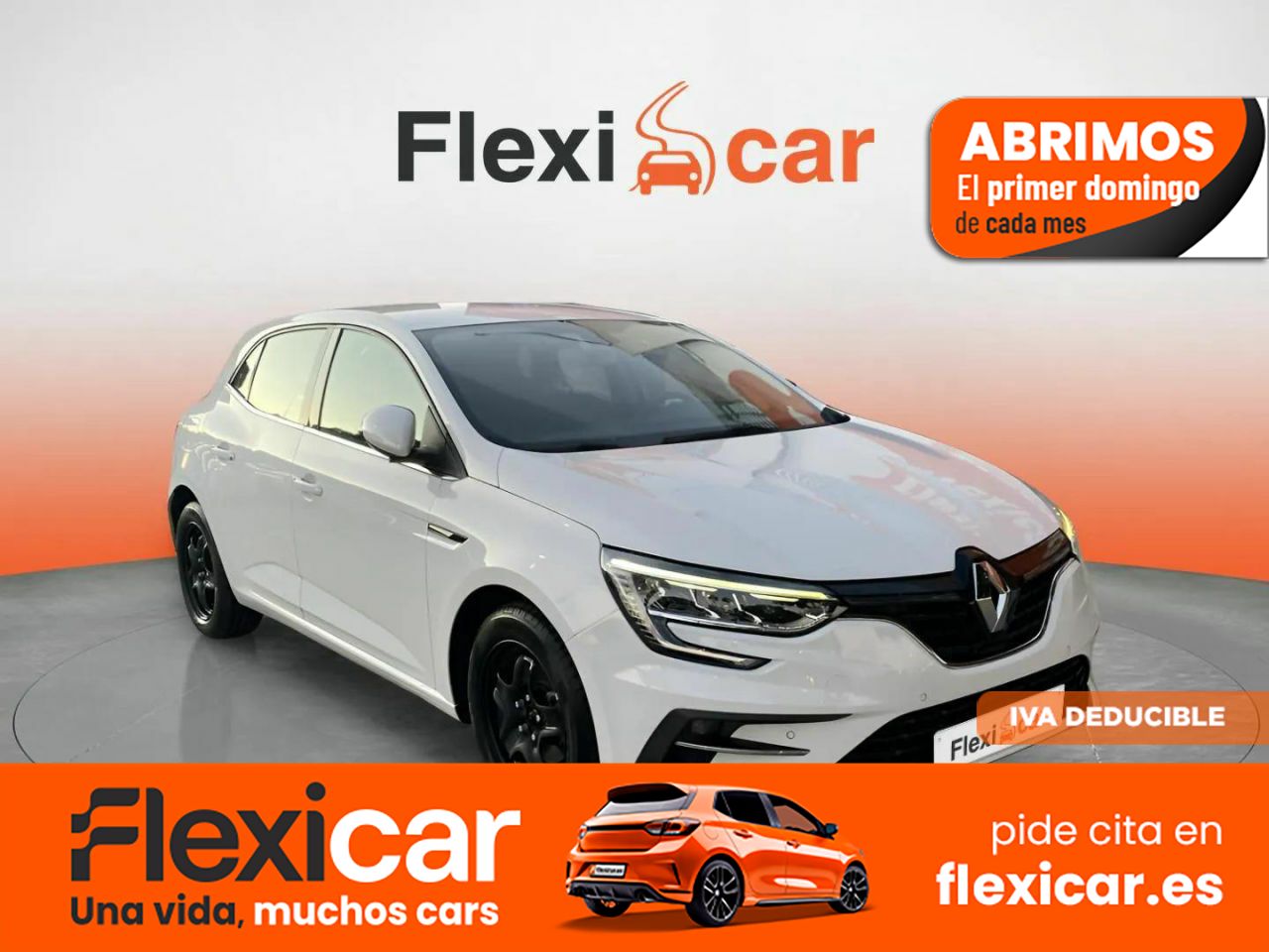 Foto Renault Mégane 1