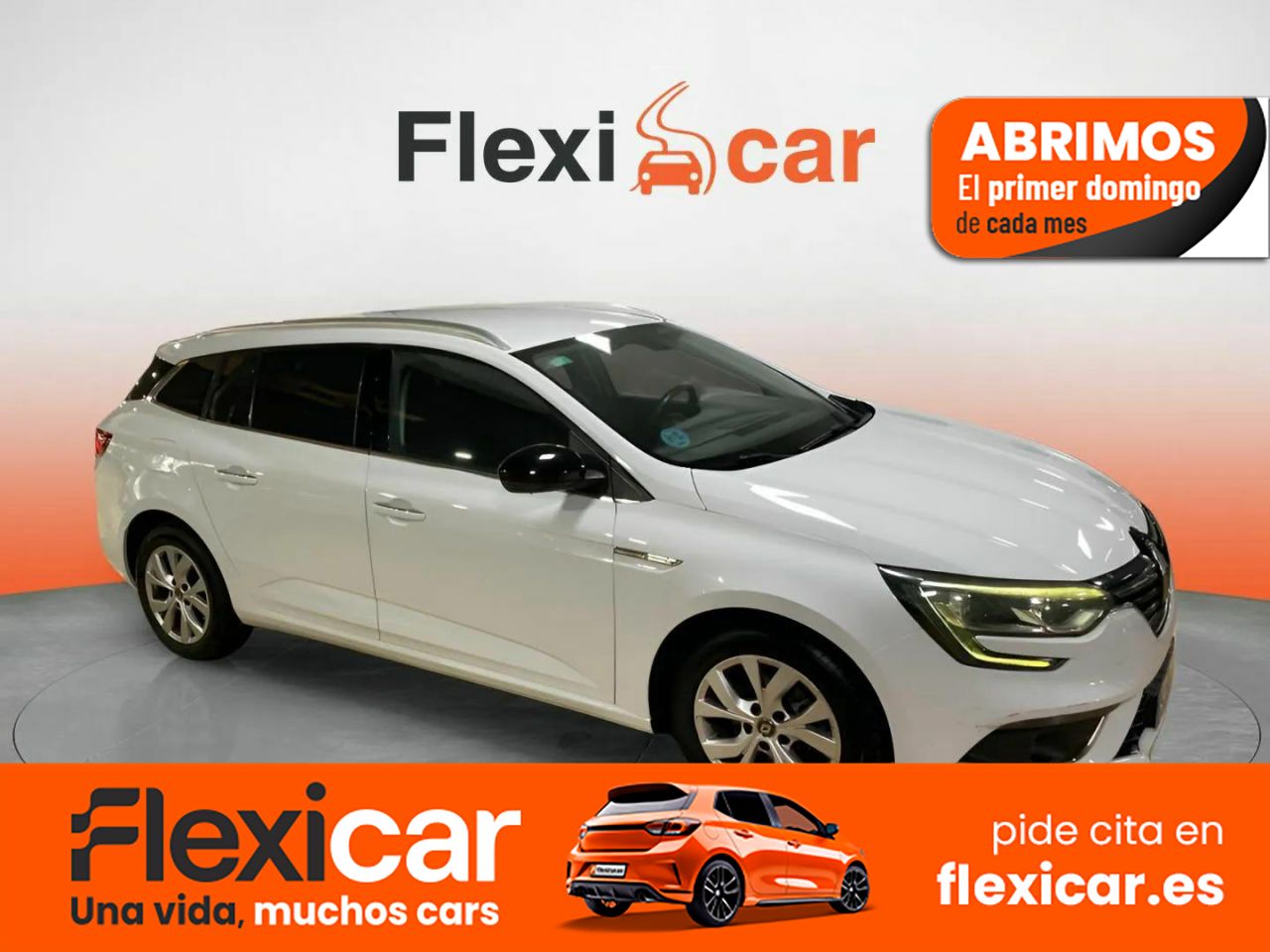 Foto Renault Mégane 1