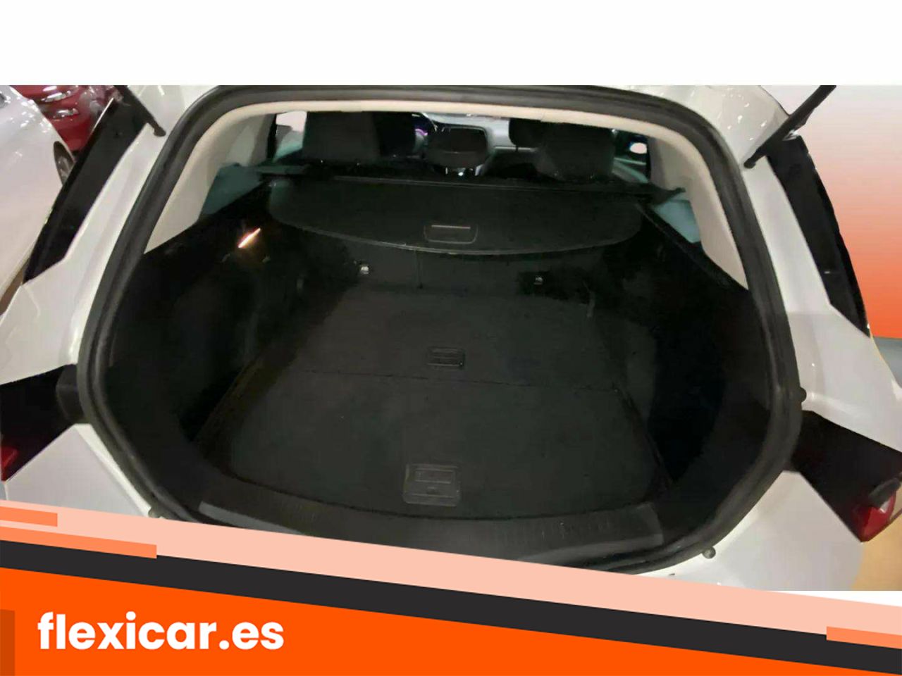 Foto Renault Mégane 10