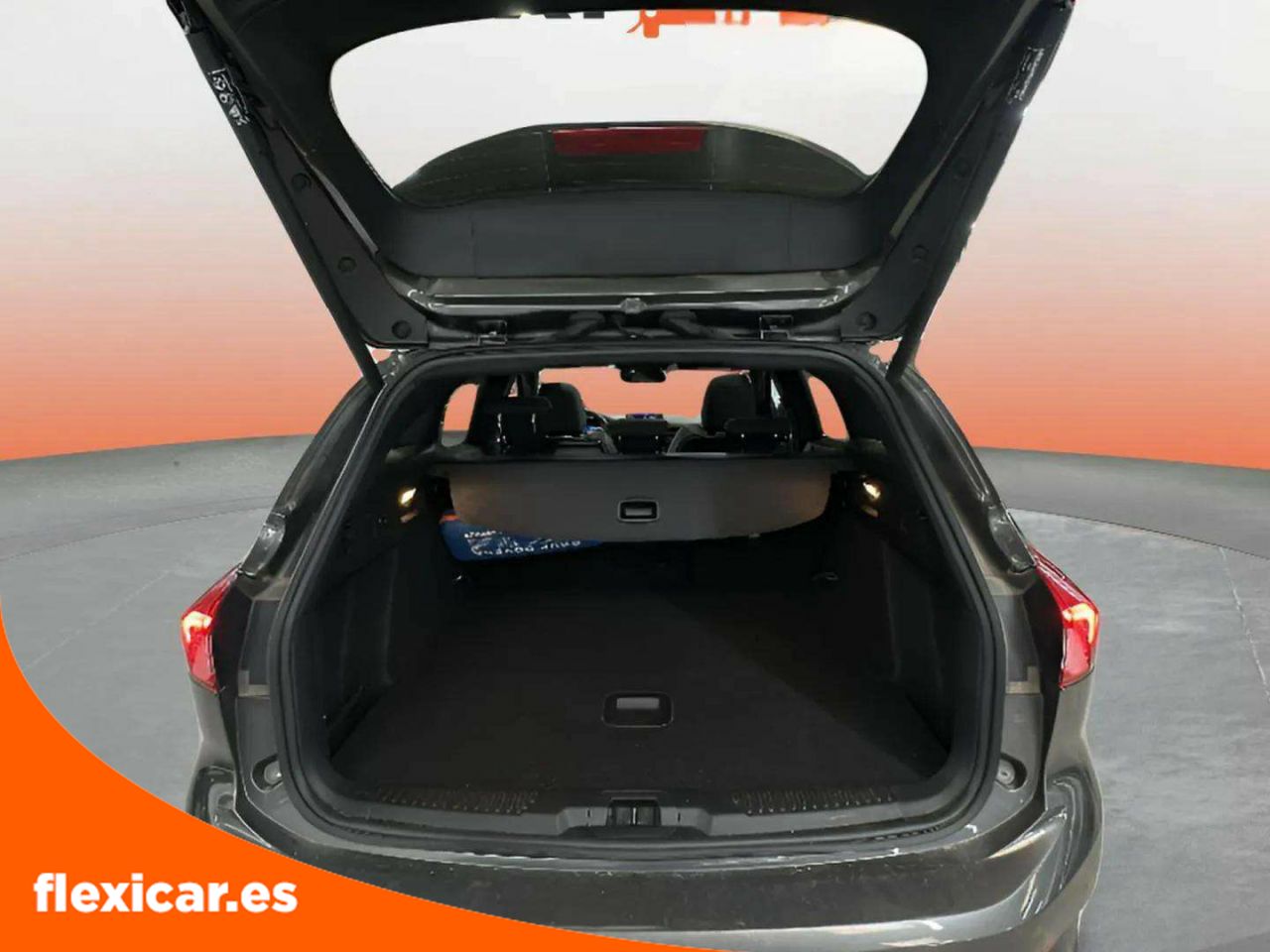 Foto Ford Focus 17