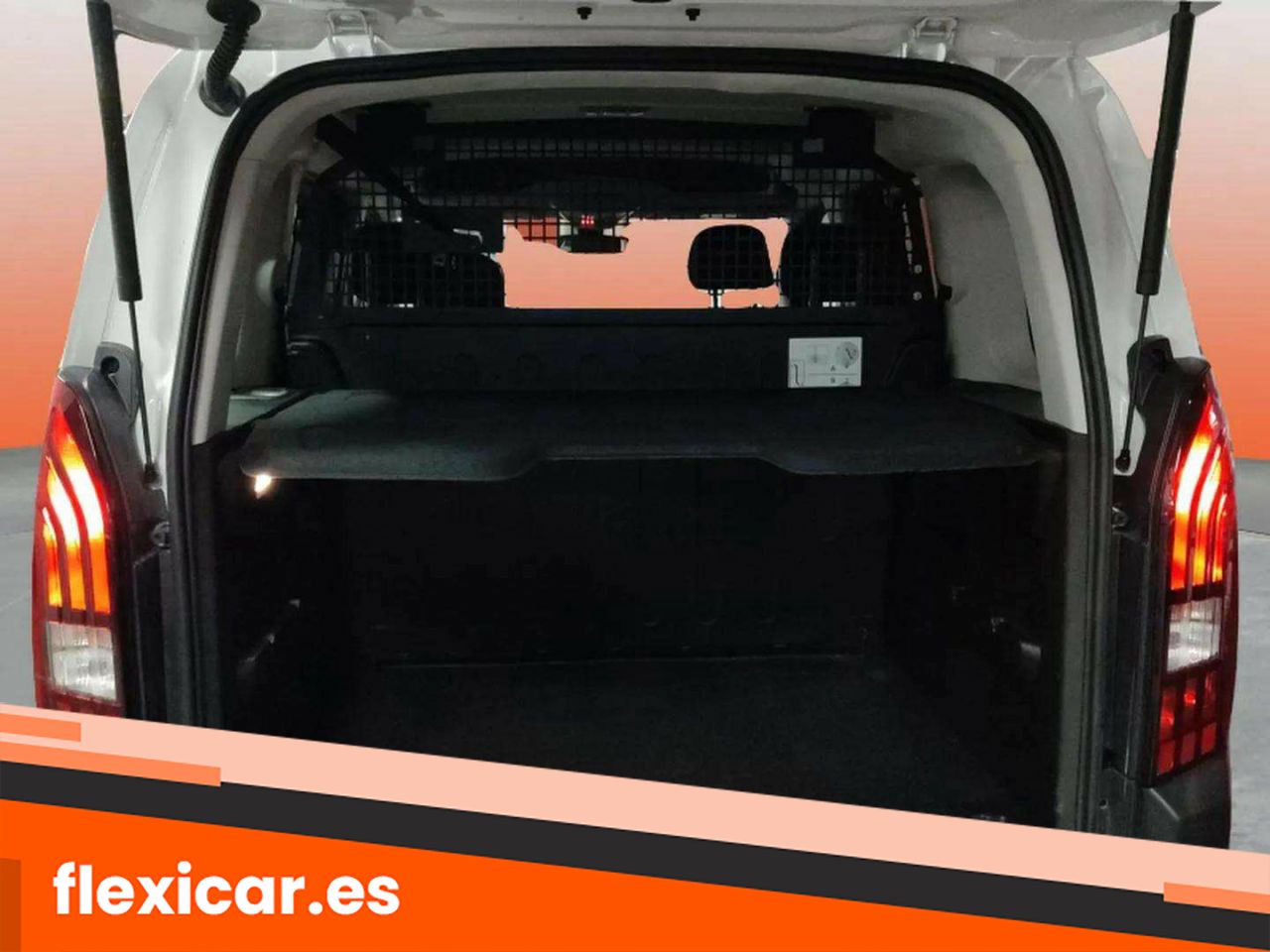 Foto Peugeot Rifter 13