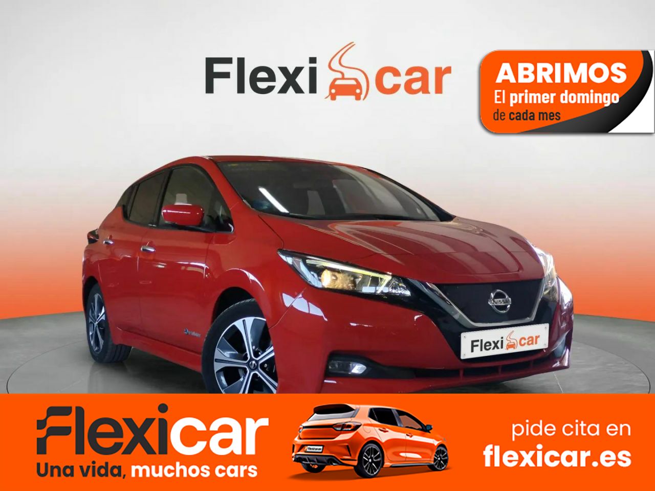 Foto Nissan Leaf 1