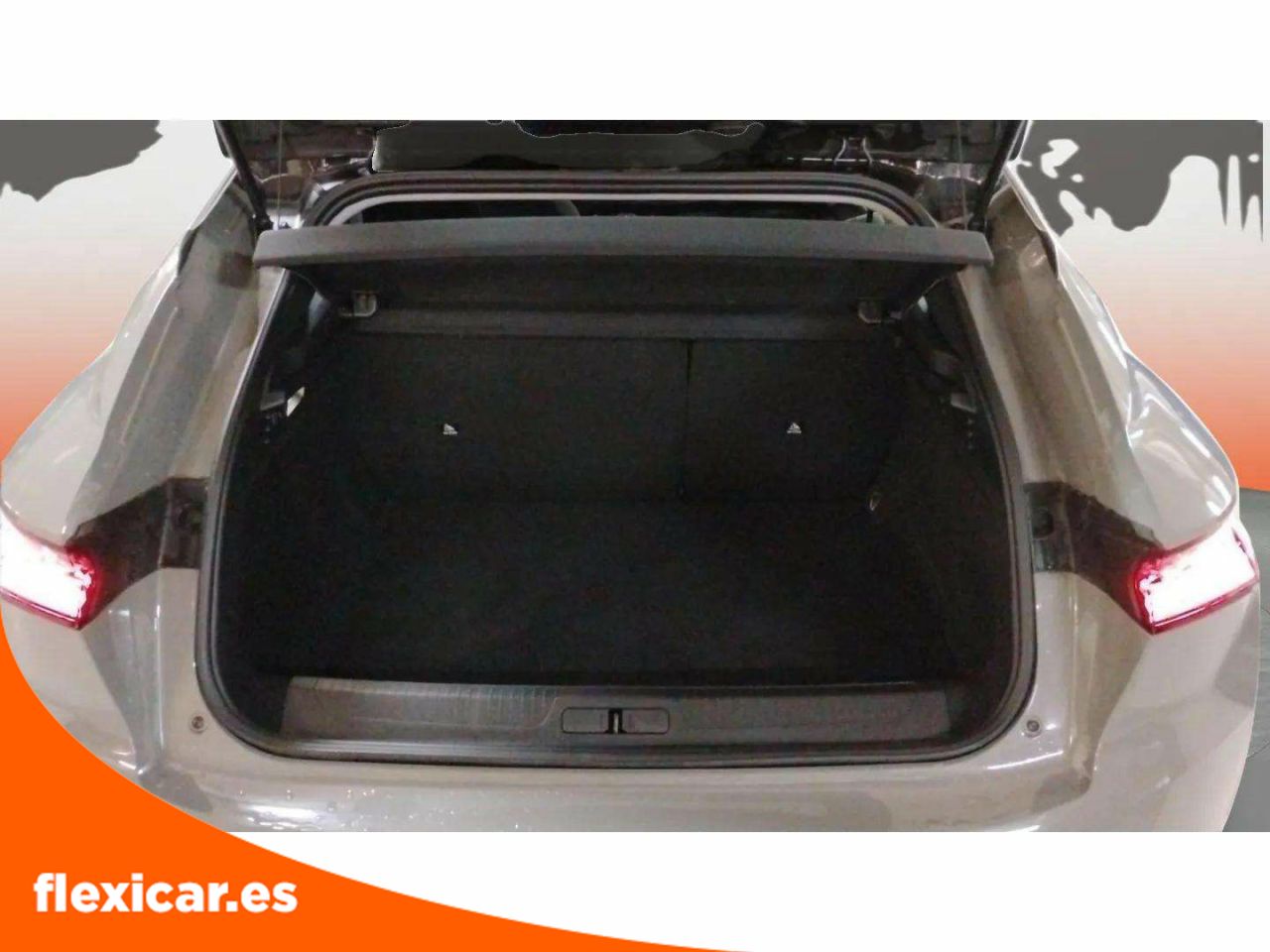 Foto DS Automobiles DS 4 26