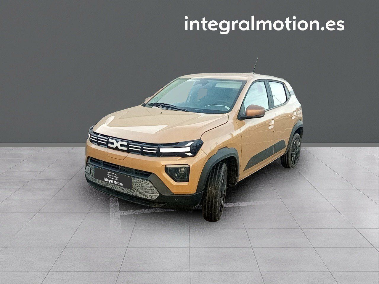 Foto Dacia Spring 1