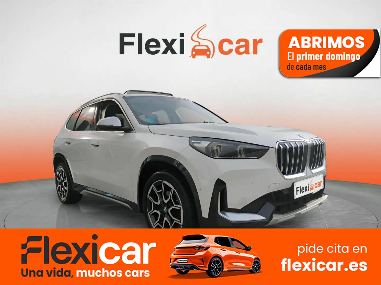 Foto BMW X1 1