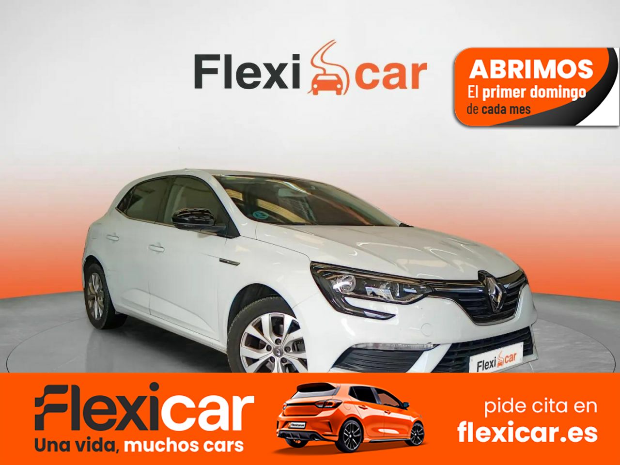 Foto Renault Mégane 1